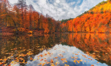Günübirlik Yedigöller Turu