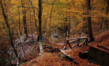 Günübirlik Yedigöller Turu