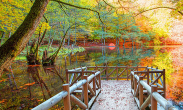 Günübirlik Yedigöller Turu