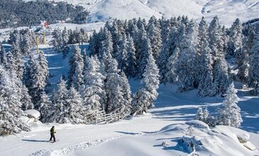 Bof Hotels Uludağ Ski & Luxery Resort (Gidiş Dönüş Ulaşım Dahil)