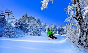 Bof Hotels Uludağ Ski & Luxery Resort (Gidiş Dönüş Ulaşım Dahil)
