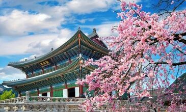 Costa Serena İle Hong Kong & Tayvan & Japonya & Güney Kore 14 Gece THY- 16 Ocak 2026 FL001