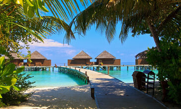 Maldivler & Singapur & Phuket Turu Qatar Havayolları ile 8 Gece 10 Gün NLE-HKT FL001