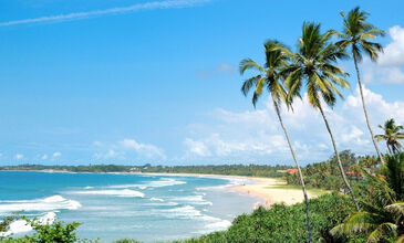 Sri Lanka Turu Türk Havayolları İle 8 Gün EJ001