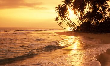 Sri Lanka Turu Türk Havayolları İle 8 Gün EJ001