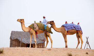 Dubai Turu 3 Gece Emirates Havayolları İle Dubai İkonları ve Şehir Turu Dahil Sömestre Özel