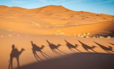 Elegant Sahra Çölü & Fas Turu Türk Havayolları ile 7 Gece (CMN-RAK) FL001