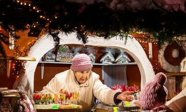 Elegant Noel Pazarları Turu Türk Havayolları ile 3 Gece (BSL-BSL) FL001