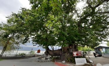 Kasım Ara Tatil Özel Bursa Cumalıkızık Eskişehir Odunpazarı Turu (1 Gece Konaklamalı)