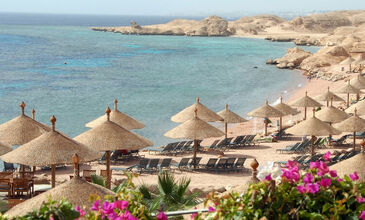 Ankara Çıkışlı Kahire Sharm El Sheikh Turu 6 Gece Kahire Şehir Gezisi Dahil